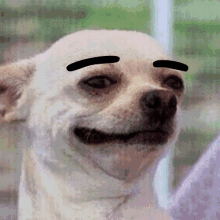 Cześć