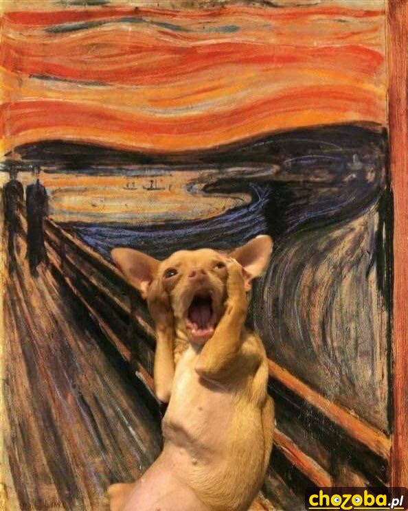 Aaaaa!