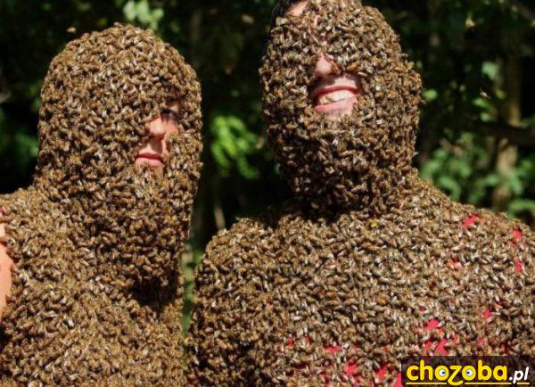 Z pszczółkami