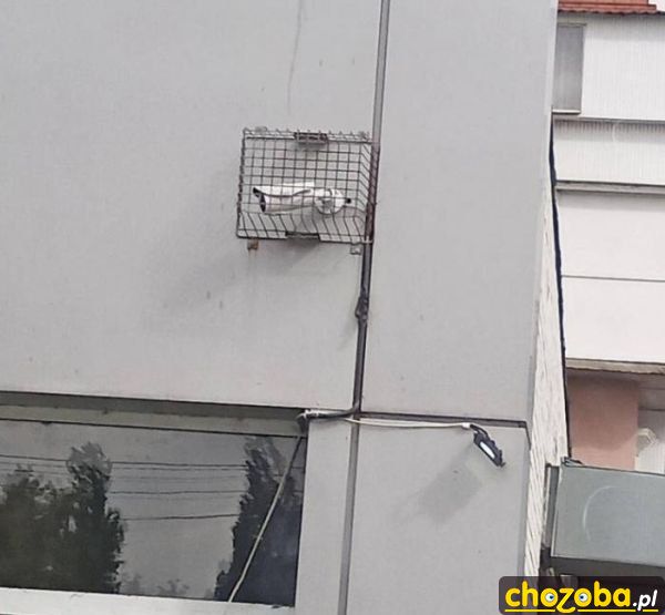 Żeby nie ukradli