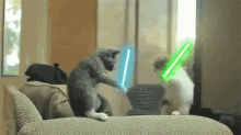 Koty Jedi