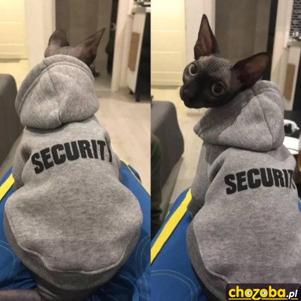 Security