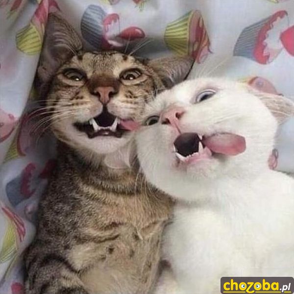 Selfie