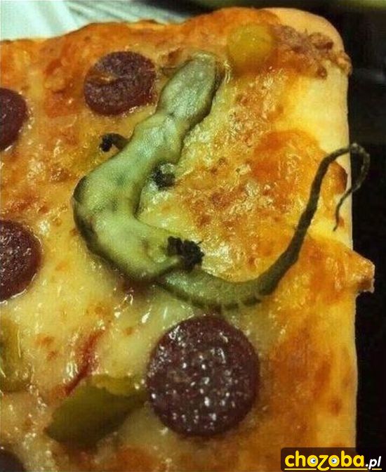 Pizza z jaszczurką