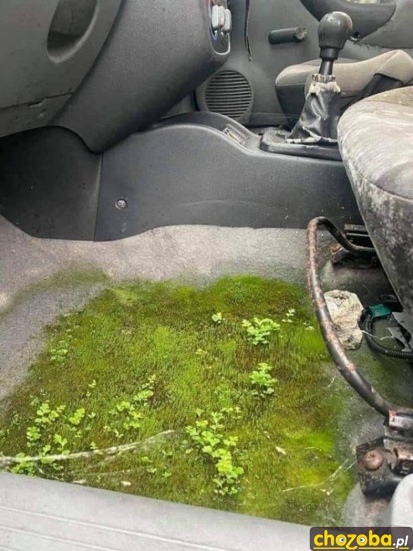 Ekologiczne auto