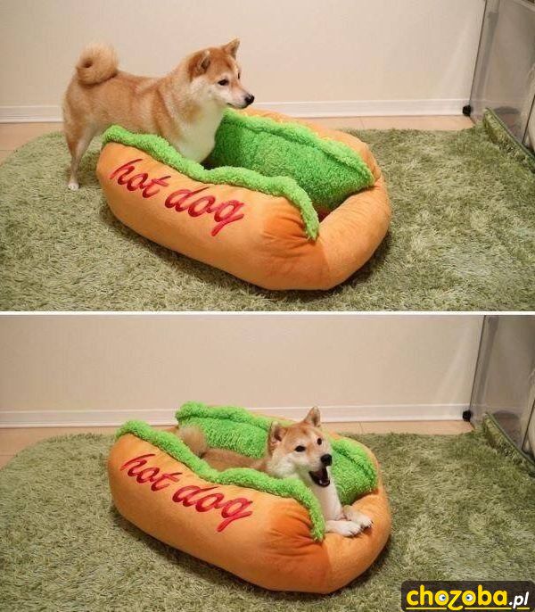 Hot-dog