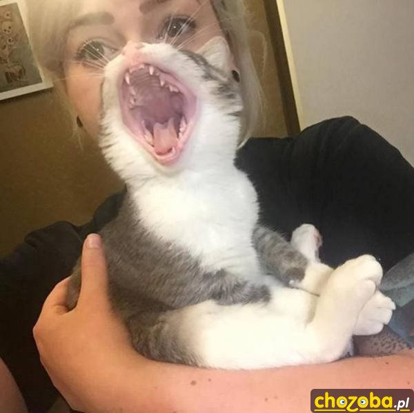 Aaaaaa!