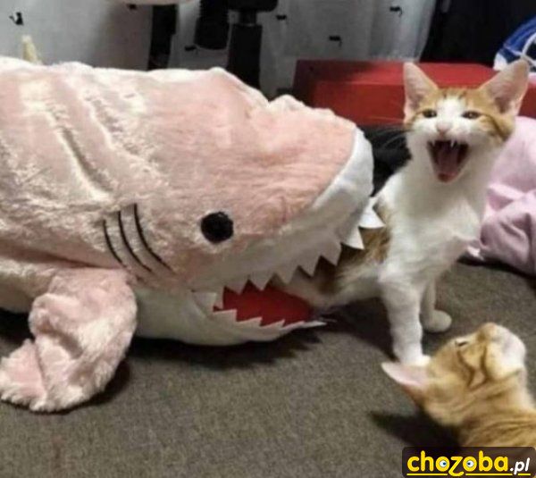 Aaaaaa!