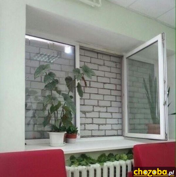 Widok za oknem