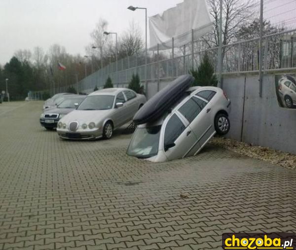 Jak struś