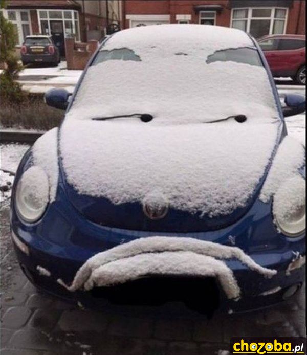 Smutny garbusek
