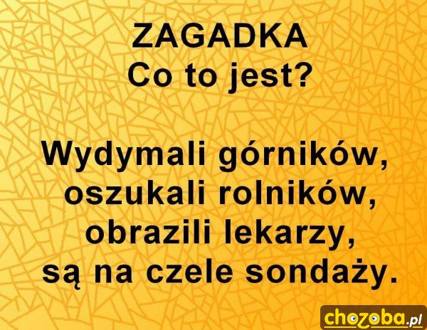 Zagadka