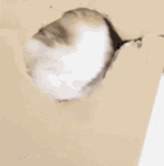 A kuku