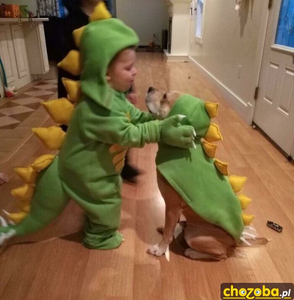 Dinozaury