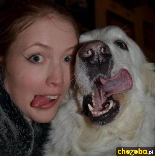Jęzorki