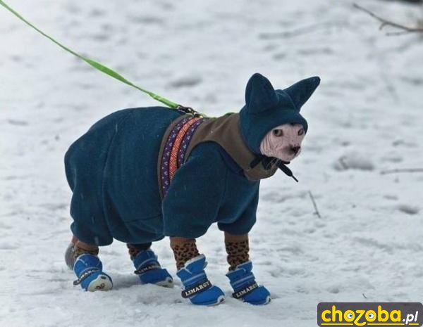Spacer zimą