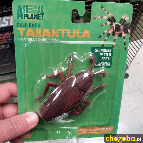 Tarantula