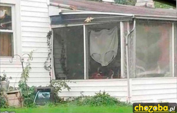Gacie teściowej