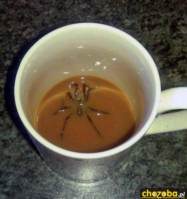 Kawa z pająkiem