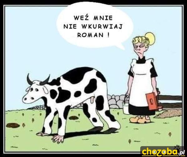 Czas na dojenie