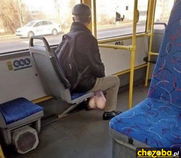 Bycze jaja