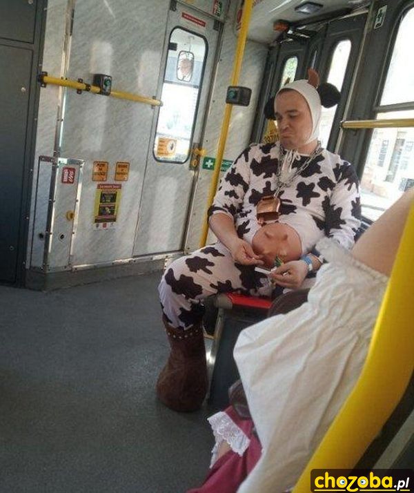 krowa-w-tramwaju