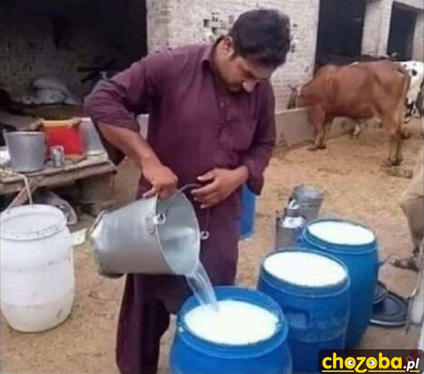 Na eksport