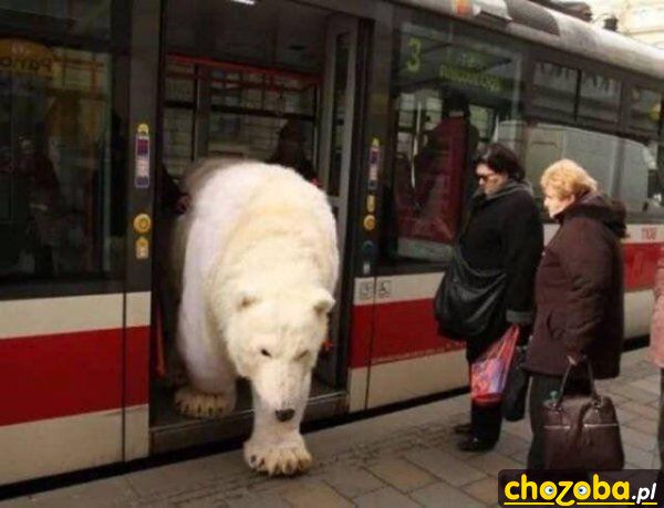 Ja wysiadam