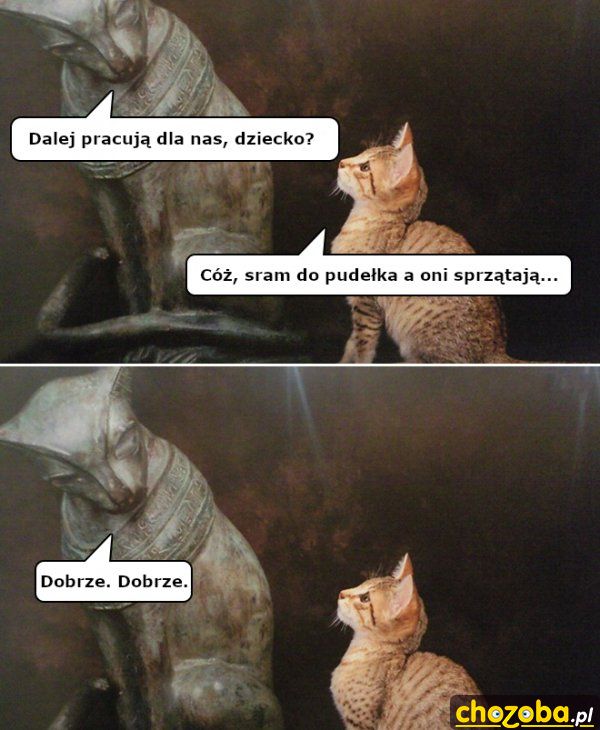 Pracują dla nas