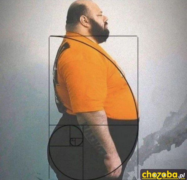 Idealne proporcje