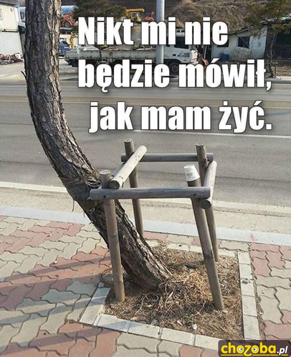 Buntownik