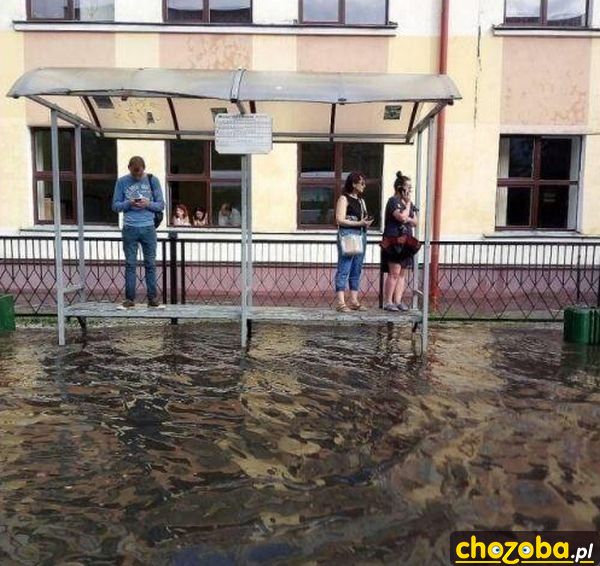 Na przystanku