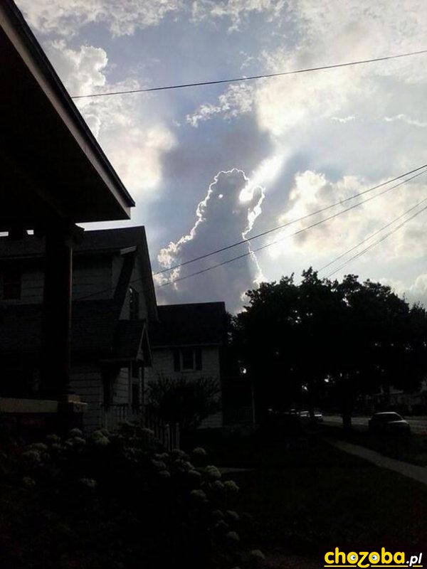 Godzilla na niebie