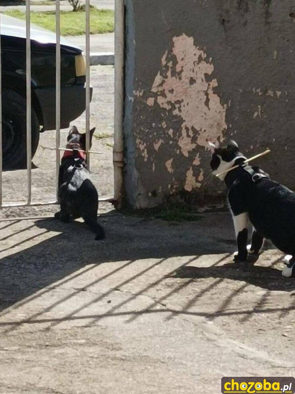 Blokada na wyjście