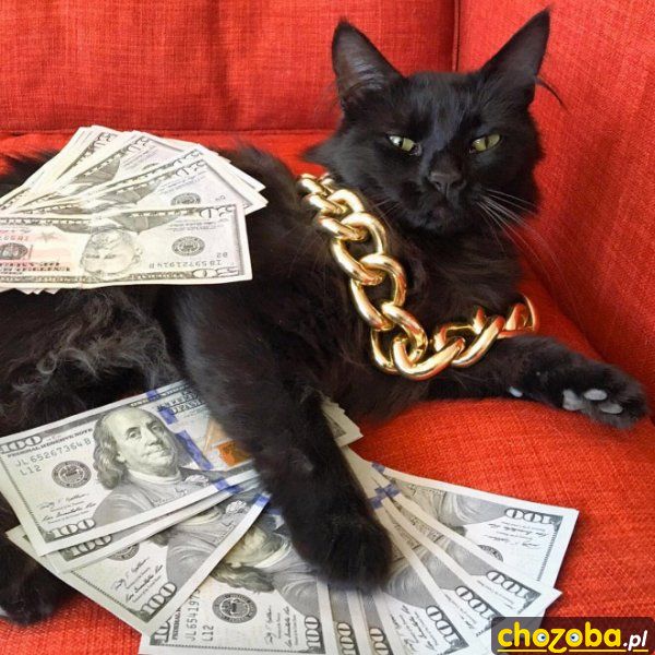 Koteł na bogato