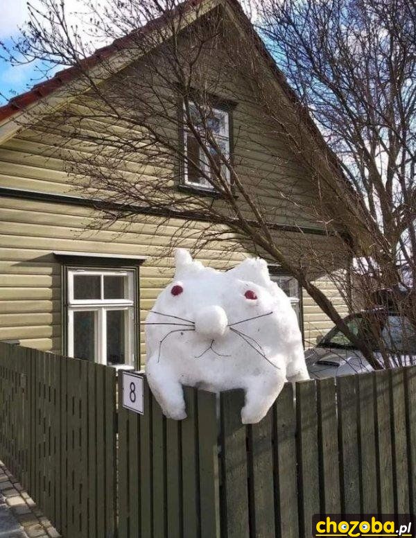 Śnieżny koteł