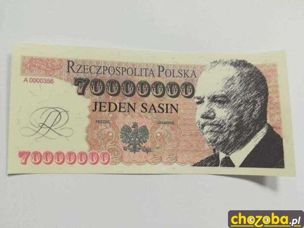 Jeden Sasin
