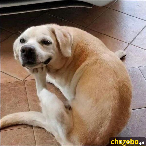 Hmmm