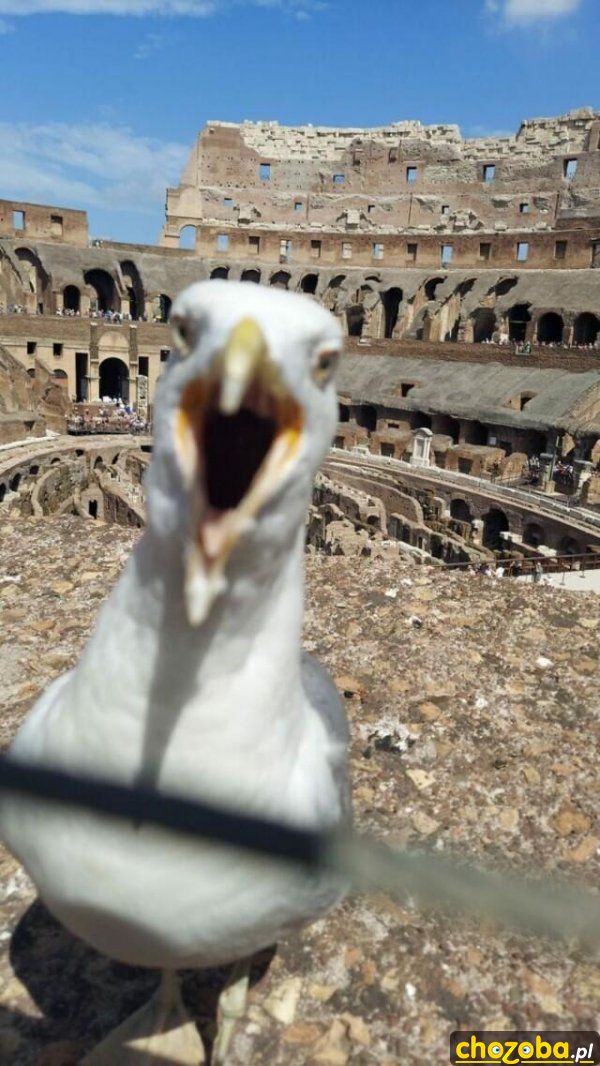 Aaaaaa!
