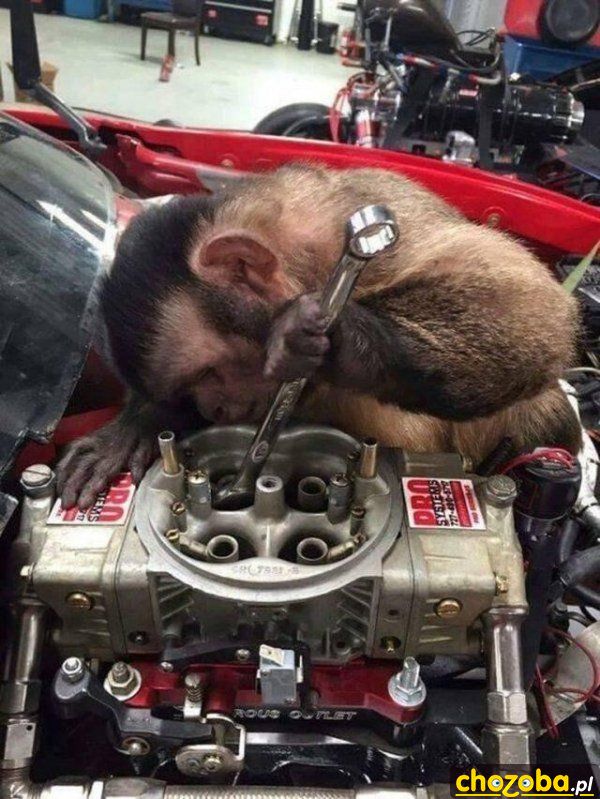 Tani mechanik