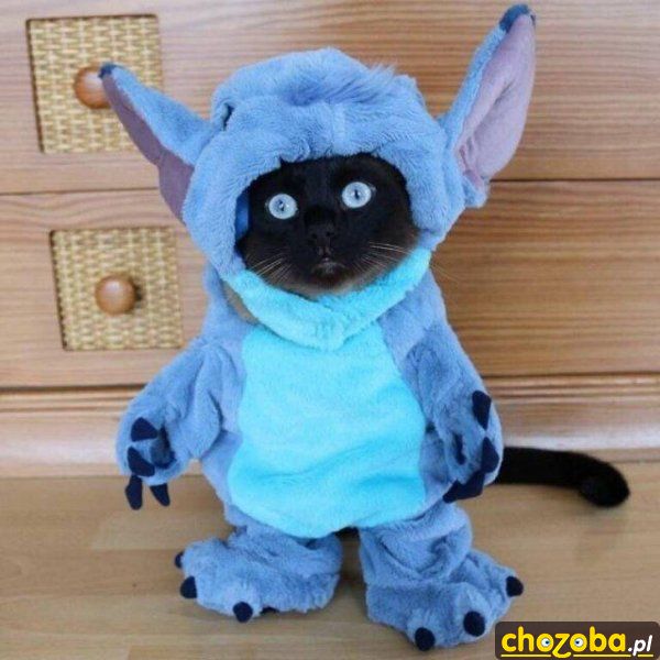 Stworek