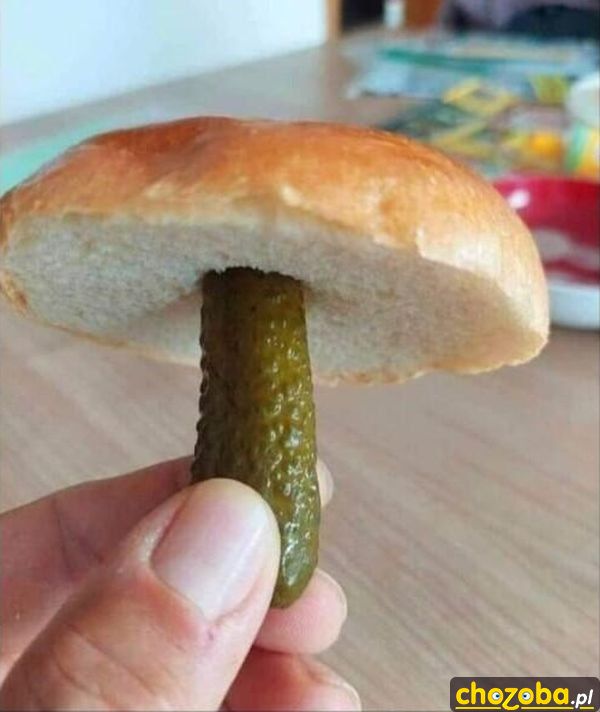 Grzybek