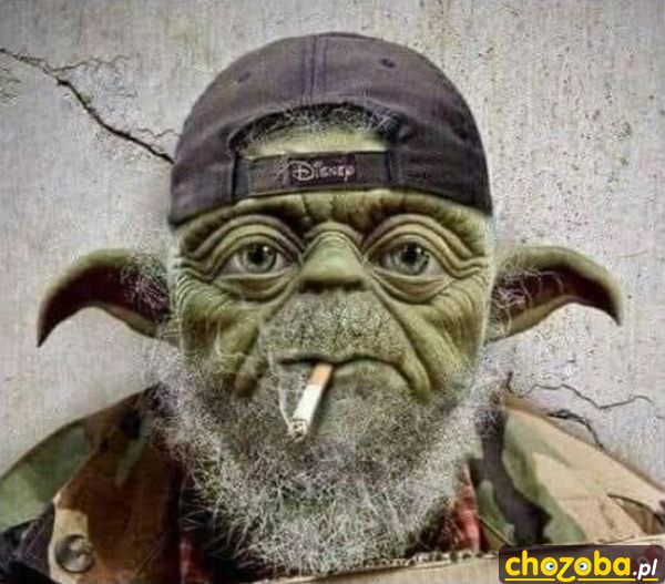 Yoda