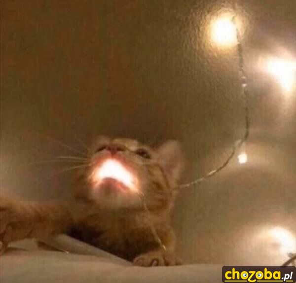 Aaaaa!