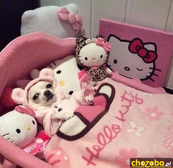 Hello Kitty