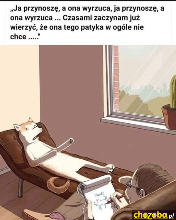 Pies u psychologa