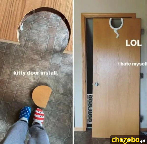 Robię wejście dla kota