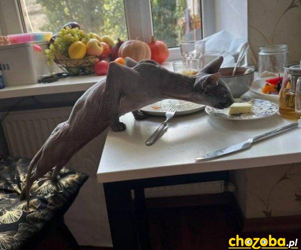 Sięgnę
