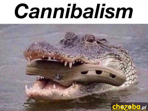 Kanibal