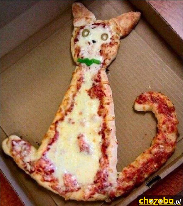 Kocia pizza